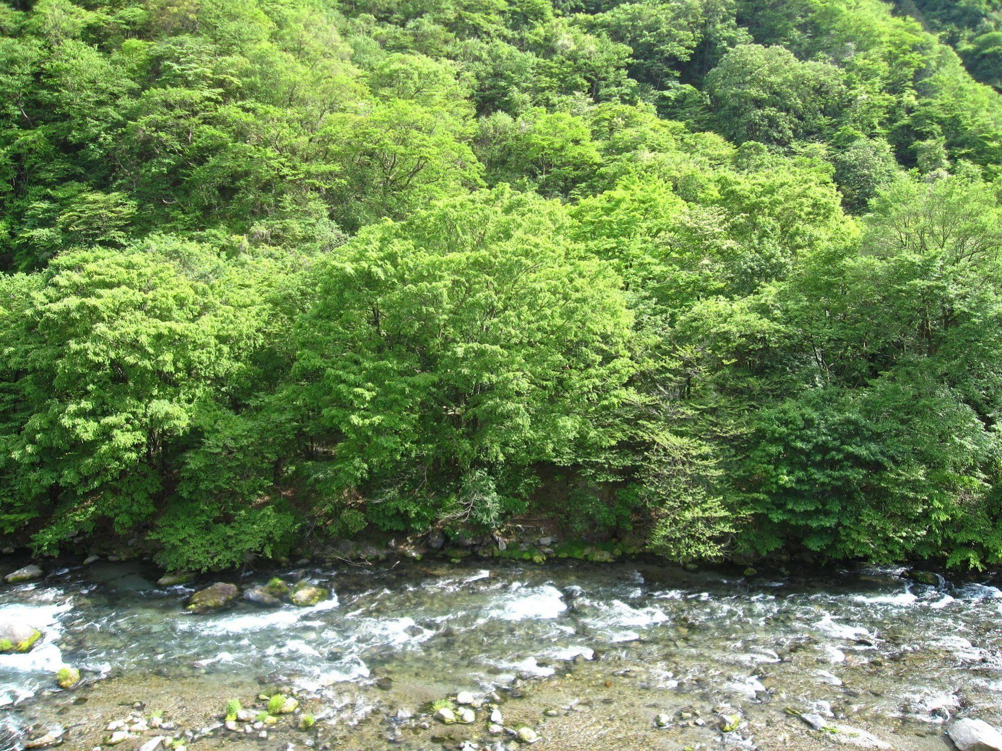 Koduchi No Yado Tsurukamedaikichi Hotel Nikkó Kültér fotó